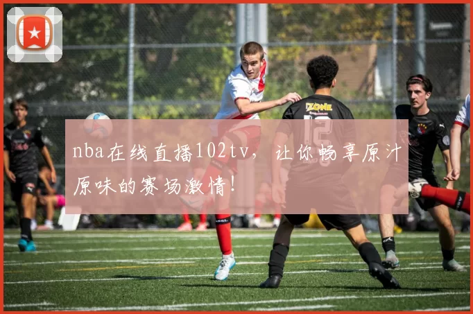 nba在线直播102tv,让你畅享原汁原味的赛场激情!